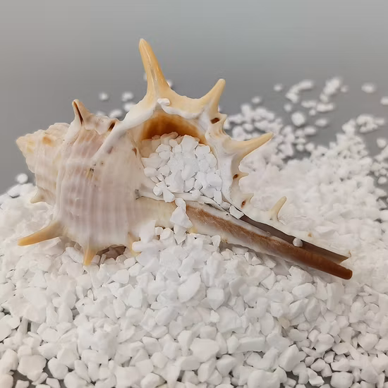 Uso de refratários Matérias-primas Tabular Corindo Alumina